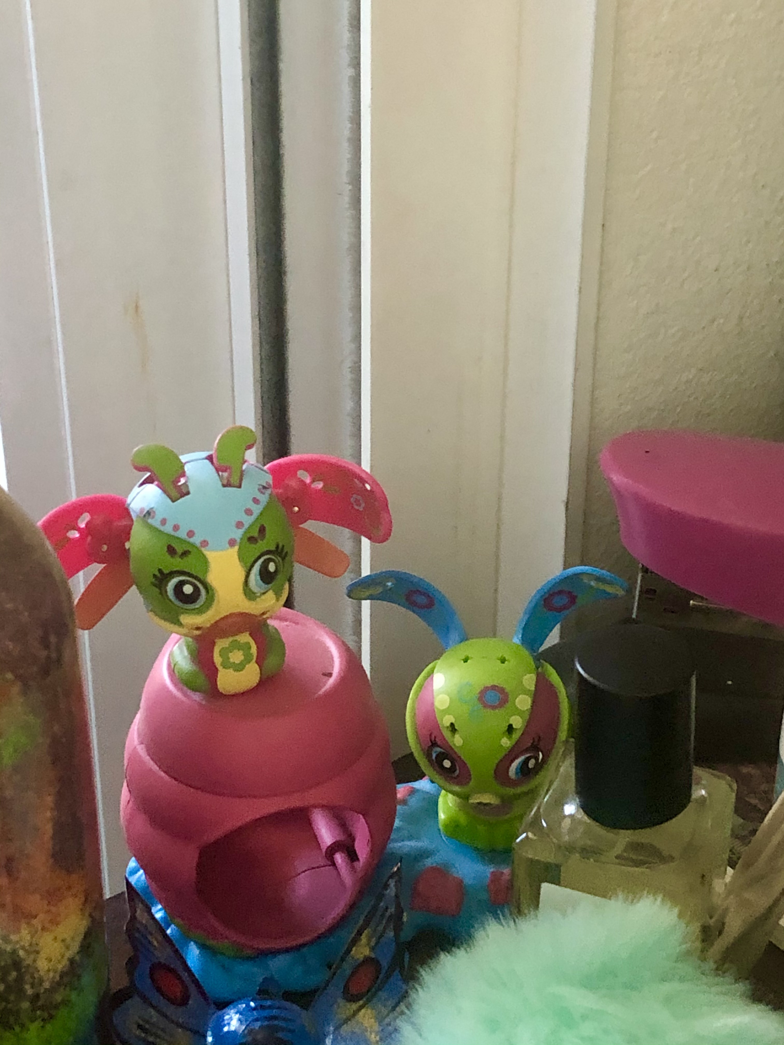 My companions