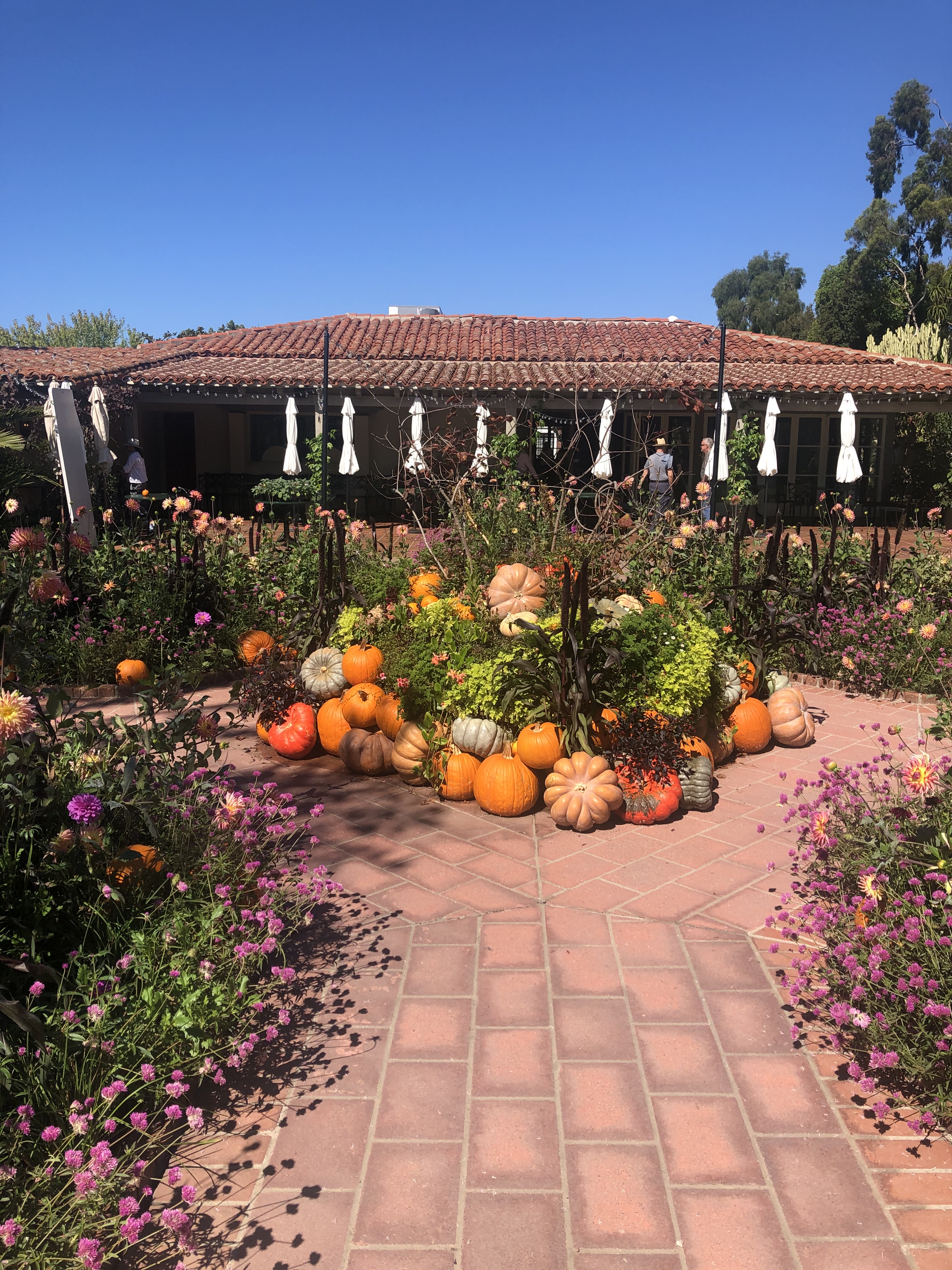 Sherman’s Garden