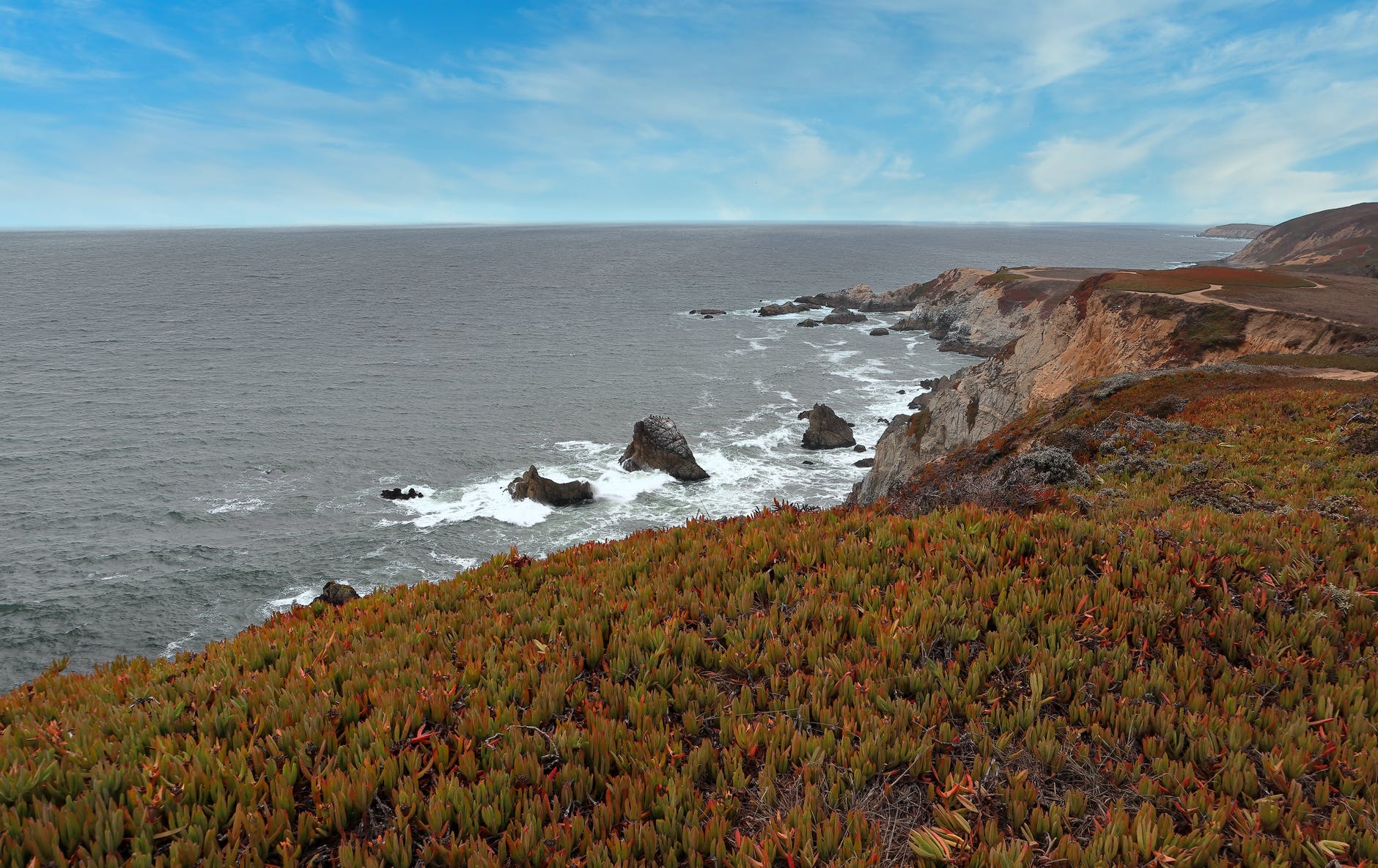 What am I doing with my life?